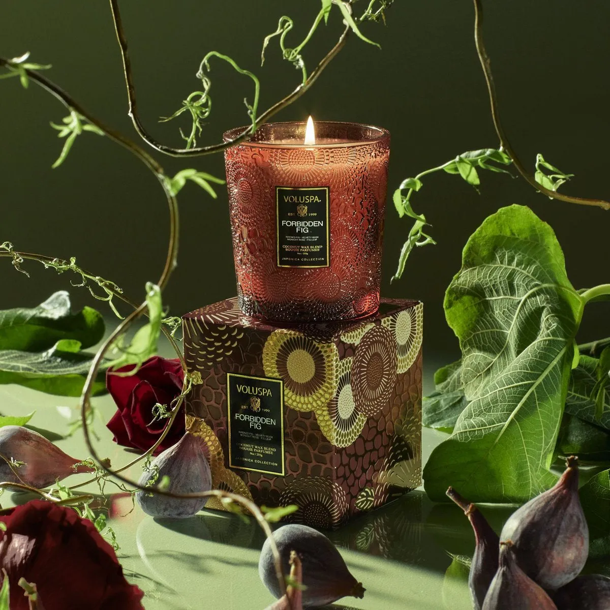 FORBIDDEN FIG - Classic Candle