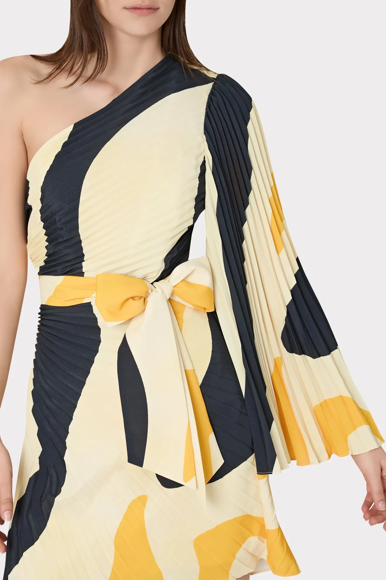 Linden Zebra Pleated Dress